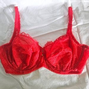 NWOT Wacoal Red Lace Bra SIZE 34DD